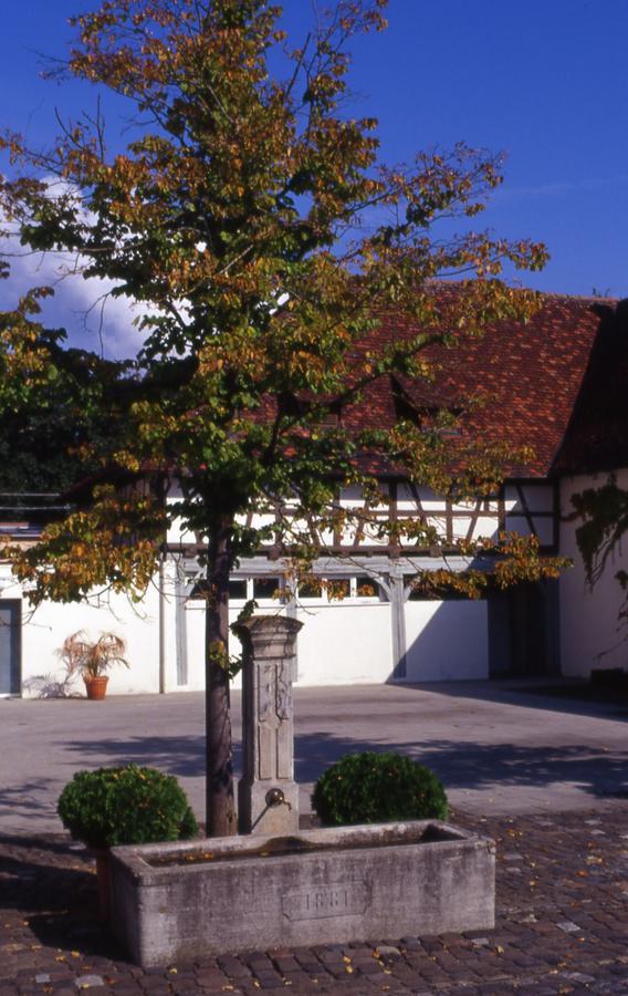 Markgraeflich Badischer Gasthof Schwanen Salem (Baden-Wurttemberg) Exterior foto